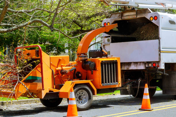 Best Seasonal Cleanup (Spring/Fall)  in West Swanzey, NH